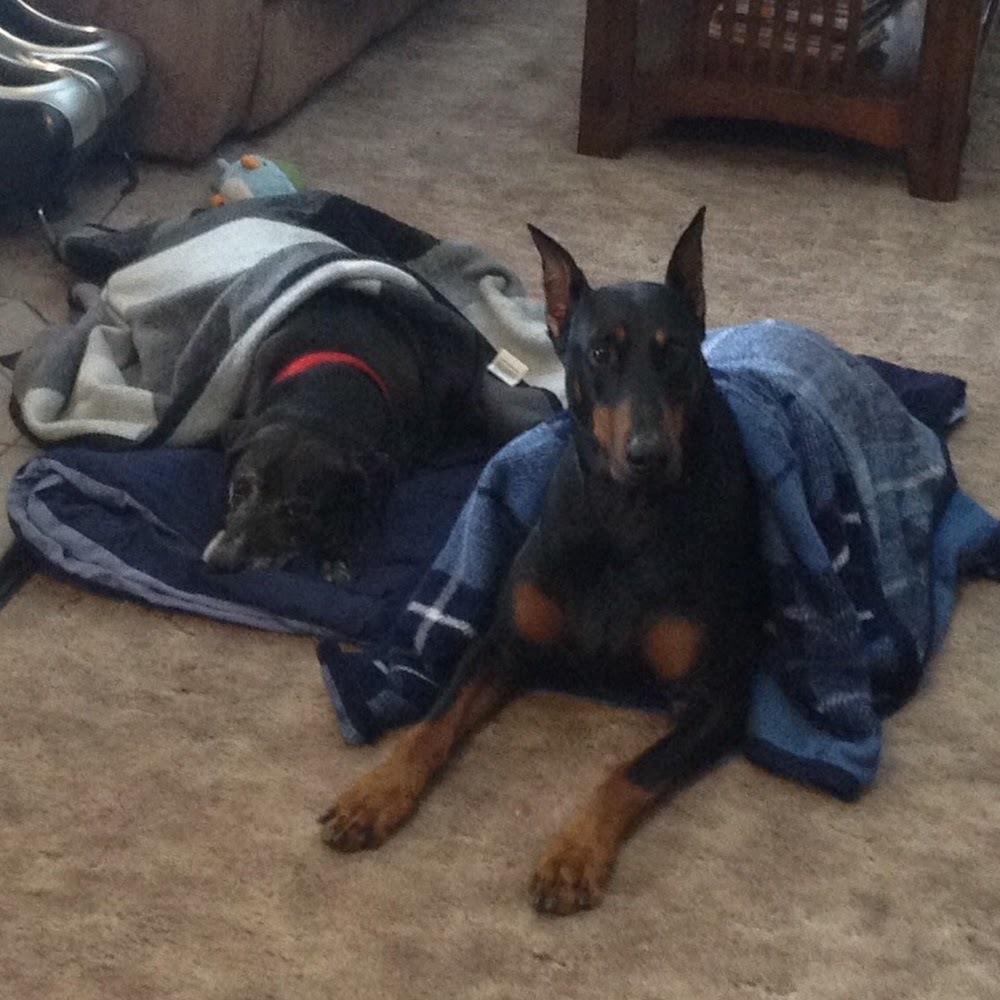 Meet your Posher, Rick